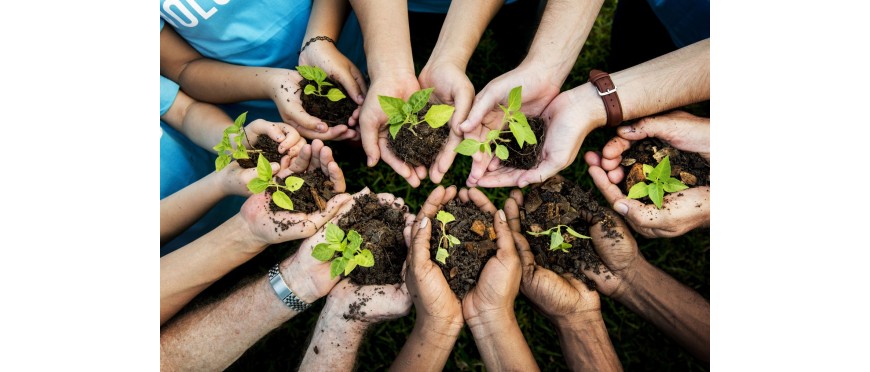 COMO ABONAR UN HUERTO ECOLOGICO URBANO